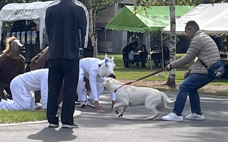 'Thánh meme' lột xác thành mẫu nữ catwalk... cháy sàn - Ảnh 3.