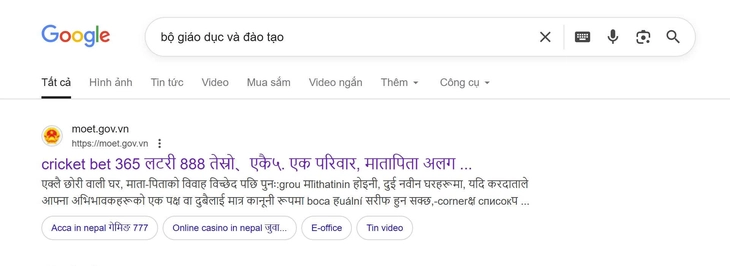 Bộ Giáo dục và Đào tạo - Ảnh 1.