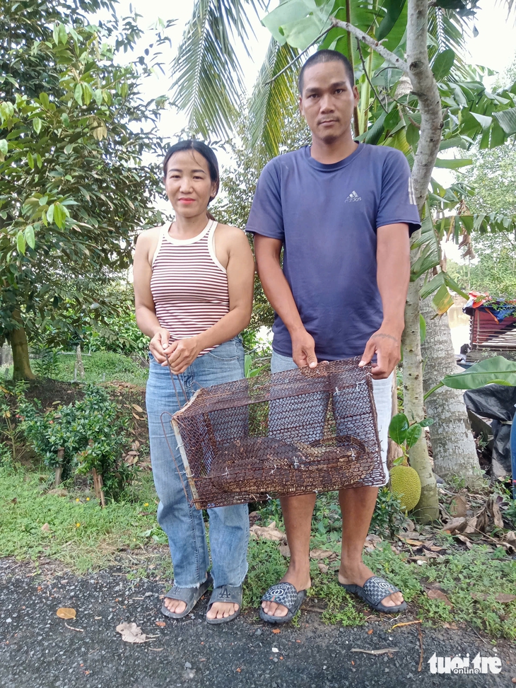 Phát hiện kỳ đà hoa quý hiếm nặng 5kg trong lúc làm vườn - Ảnh 3.