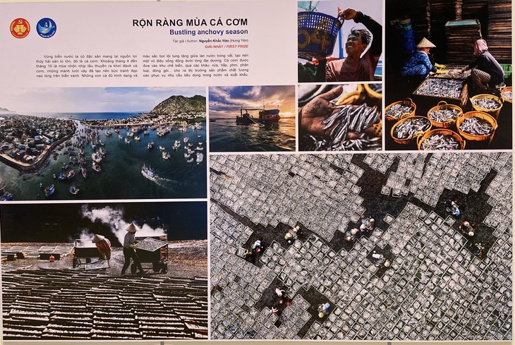 ‘Dưới bóng cờ Tổ quốc’, ‘Rộn ràng mùa cá cơm’ nhất thi ảnh Tổ quốc bên bờ sóng - Ảnh 6. Tổ quốc bên bờ sóng - Ảnh 4.