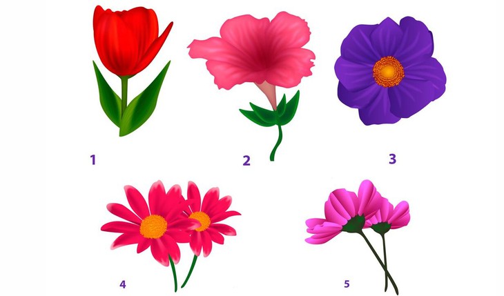 quiz - Ảnh 1.