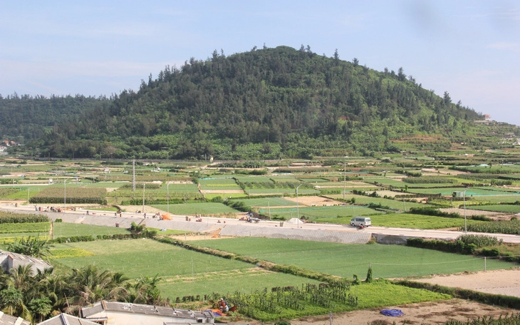 Điều chỉnh Khu bảo tồn biển Lý Sơn để hài hòa 'bảo tồn - phát triển' - Ảnh 4.