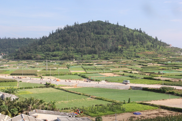 Lý Sơn - Ảnh 1.