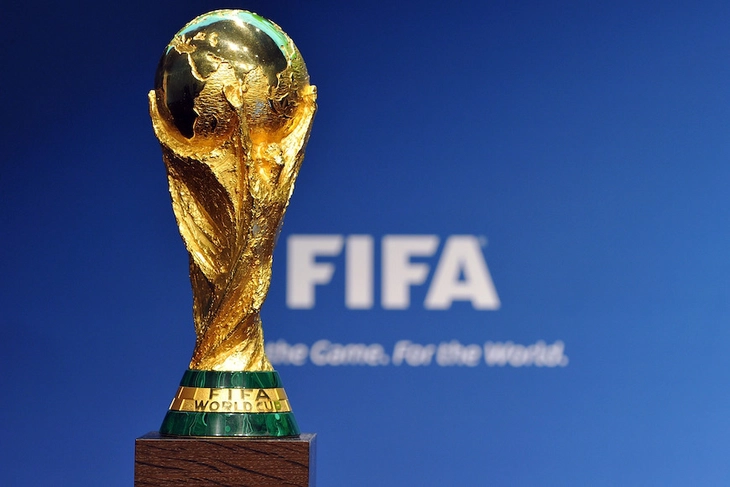 world cup - Ảnh 1.