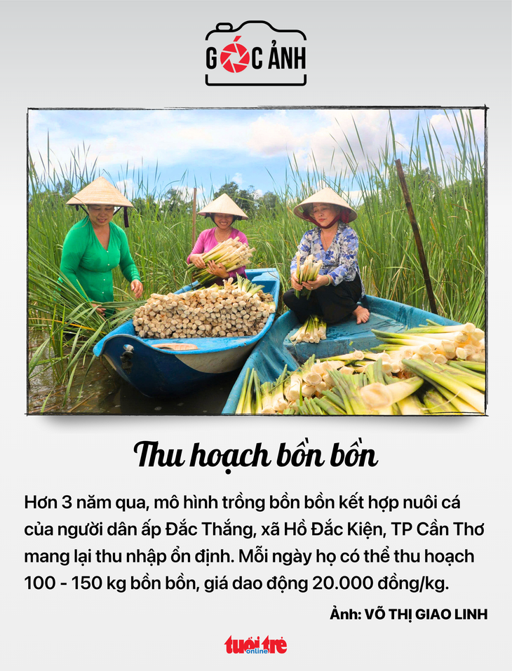 giảm trừ gia cảnh - Ảnh 8.
