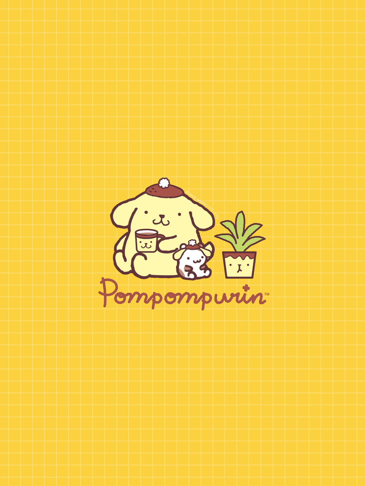 hello kitty - Ảnh 2.