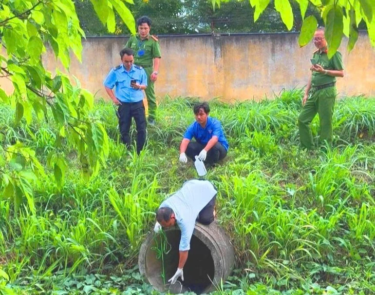 môi trường - Ảnh 1.