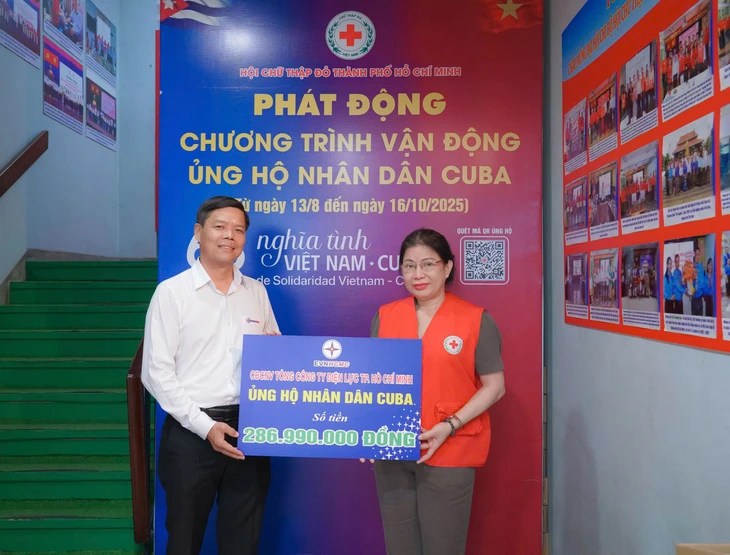 Ngành điện TP.HCM - Ảnh 1.