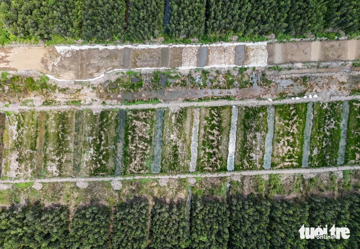 Vành đai 3 TP.HCM - Ảnh 4.