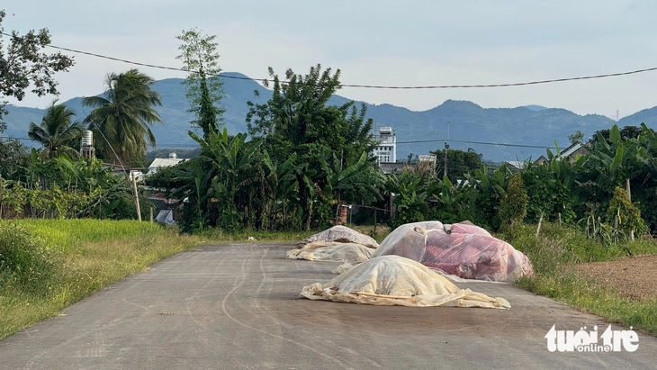 Cầu trăm tỉ 'mồ côi' vì đường dẫn làm 6 năm chưa xong - Ảnh 3.