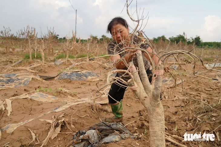 Thái Nguyên - Ảnh 4.