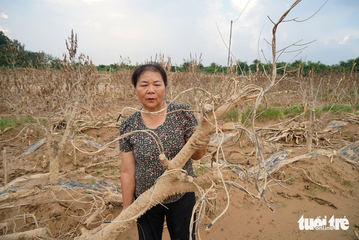 Thái Nguyên - Ảnh 5.