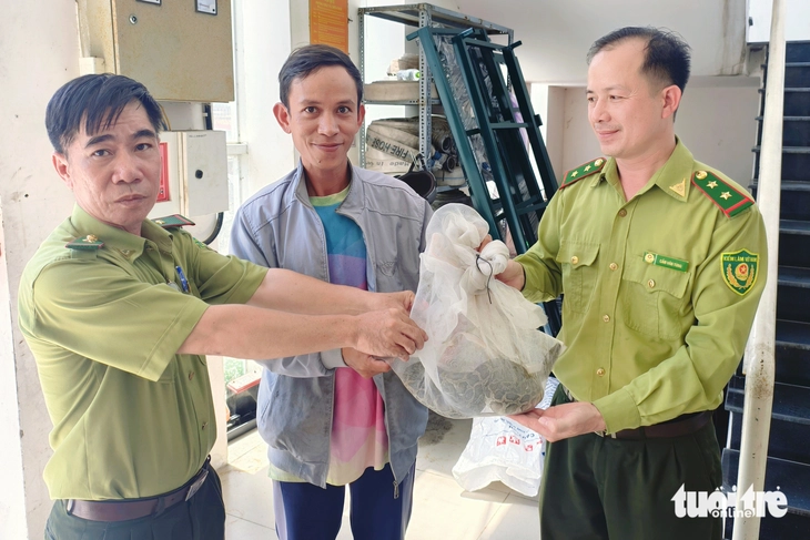 trăn đất - Ảnh 1.