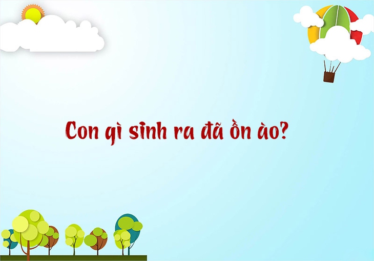 con gì - Ảnh 5.