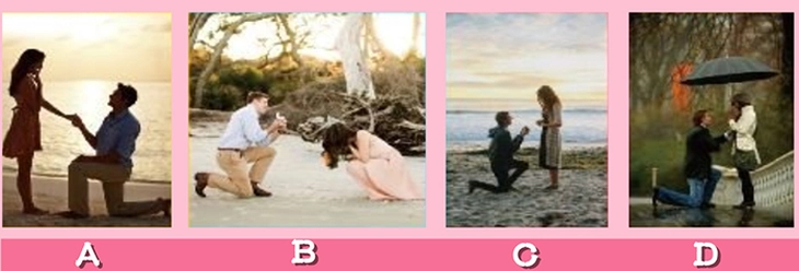 quiz - Ảnh 1.