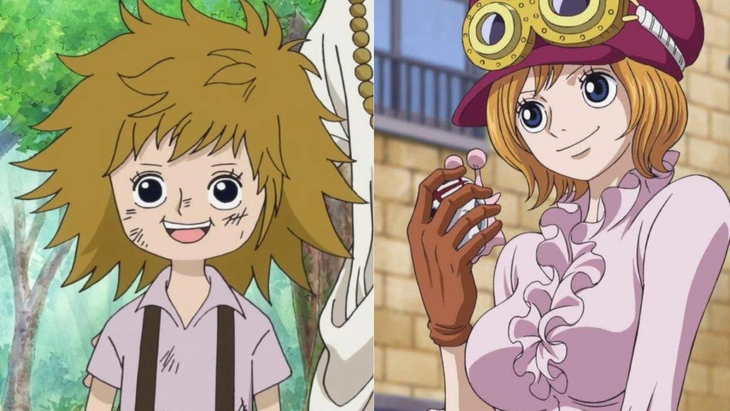 Arc hay nhất của One Piece - Ảnh 2. One Piece - Ảnh 2.