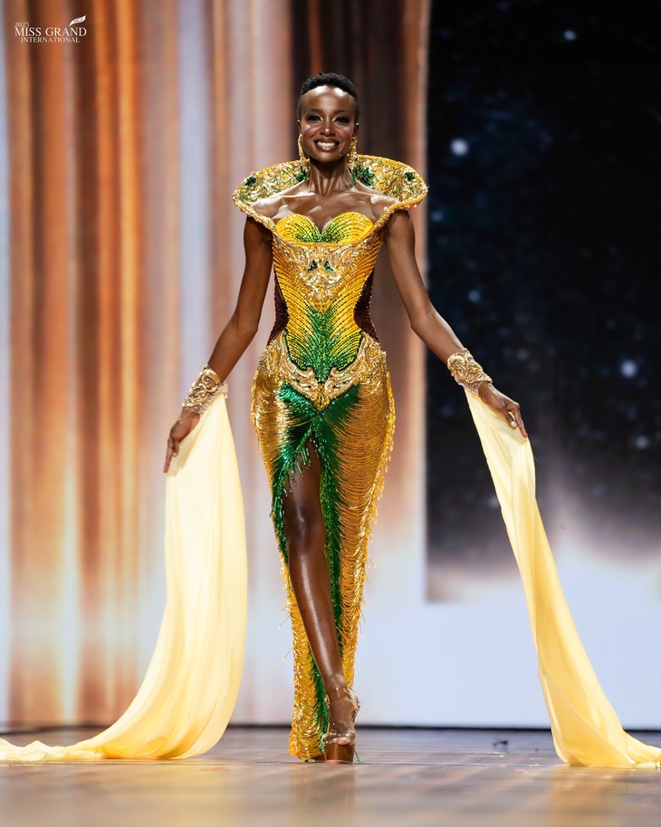 Trang phục dân tộc của Việt Nam vào top 20 tại Miss Grand International 2025 - Ảnh 7. Miss Grand International - Ảnh 7.