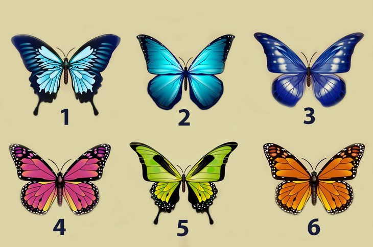 quiz - Ảnh 1.