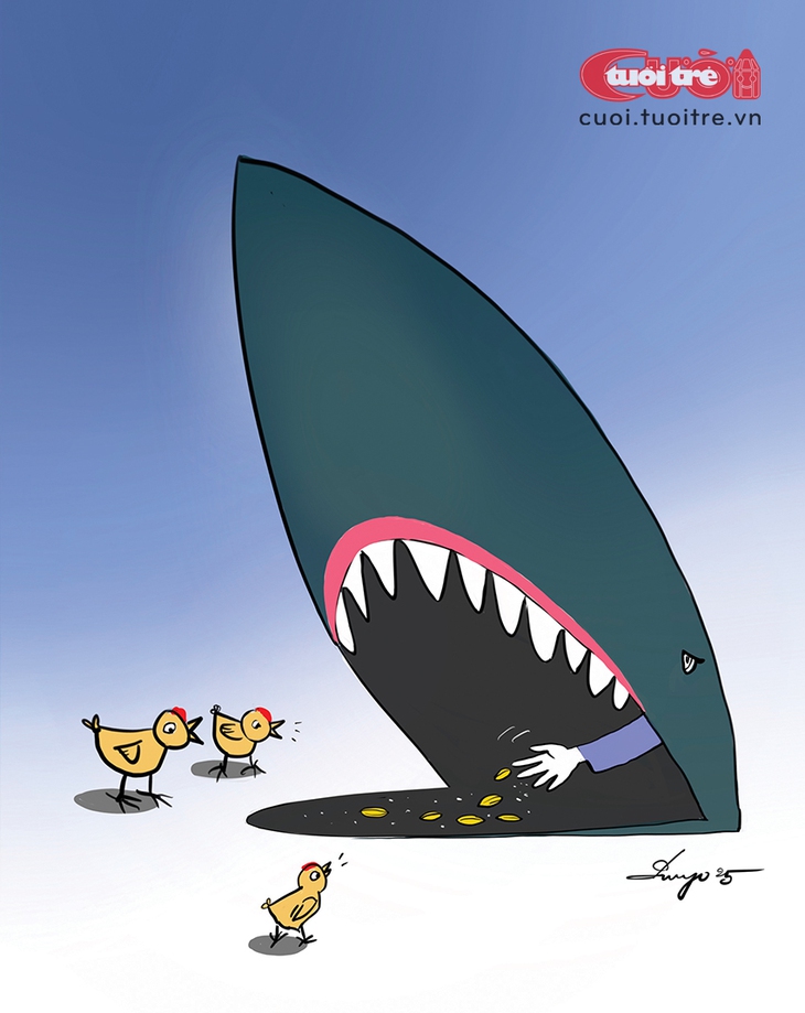 shark - Ảnh 1.