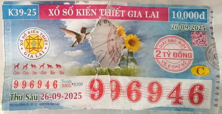 Gia Lai - Ảnh 1.