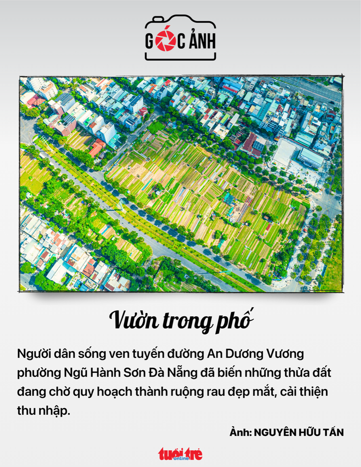 hội chữ thập đỏ - Ảnh 5.