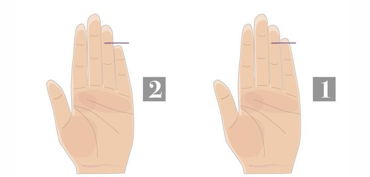 quiz - Ảnh 1.