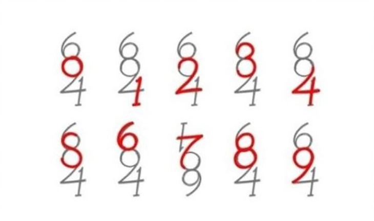 quiz - Ảnh 1.