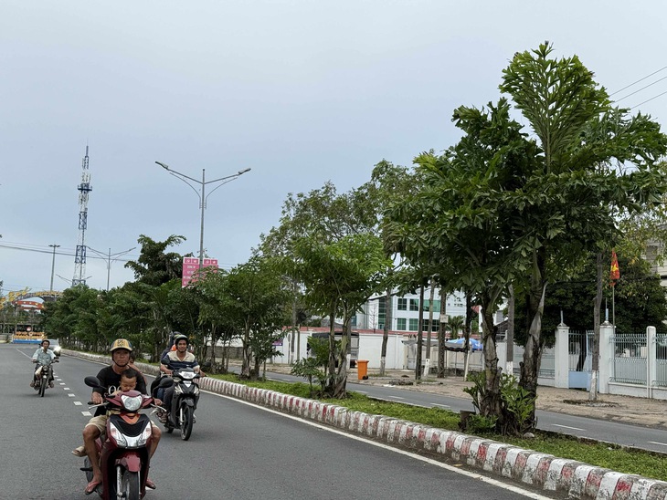 Bất ngờ với hàng cây đủng đỉnh trang trí rạp cưới được trồng trên 'con lươn' ở Cần Thơ - Ảnh 3.
