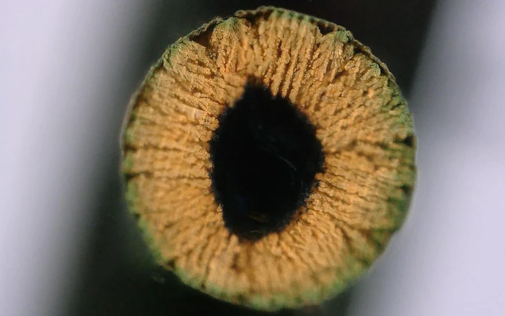 Kim loại tan chảy trong bàn tay thách thức hiểu biết khoa học - Ảnh 2.