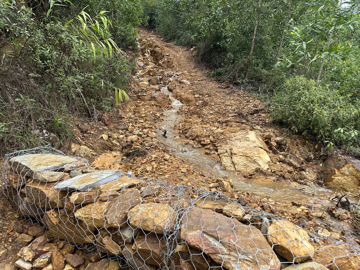 Đà Nẵng - Ảnh 3.