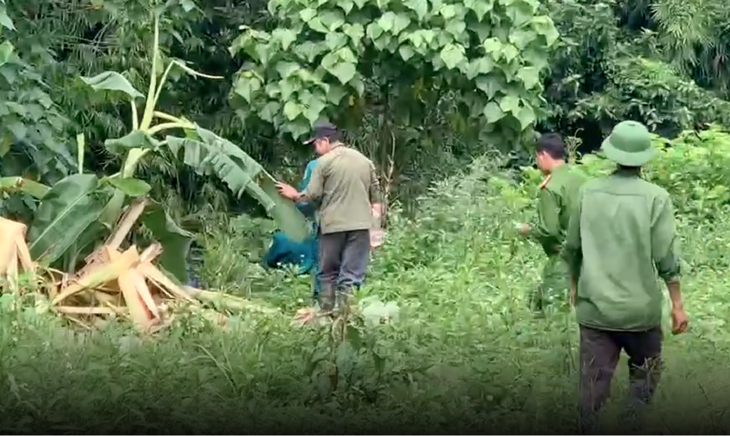 Người đàn ông đi hái măng rừng nằm chết, bên cạnh có dấu chân nghi của voi rừng - Ảnh 1.