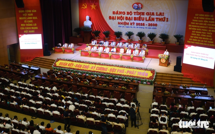 5 trụ cột đưa Gia Lai thành tỉnh phát triển khá- Ảnh 1. 5 trụ cột đưa Gia Lai thành tỉnh phát triển khá- Ảnh 1.