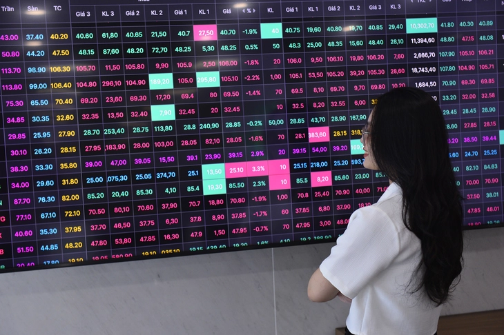 Cổ đông tập đoàn ở TP.HCM 'tháo chạy' khi lãnh án đình chỉ, chục triệu cổ phiếu dư giá sàn - Ảnh 1.
