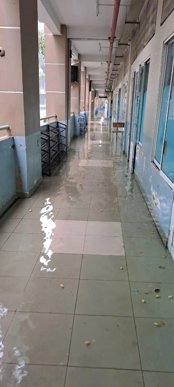 Một trường học tại TP.HCM cứ mưa to là ngập, thầy cô phải tát nước - Ảnh 3.