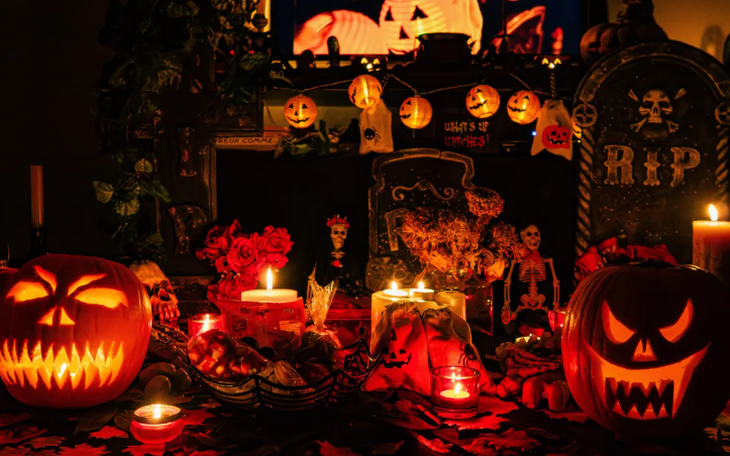 Bí mật khiến bí ngô khổng lồ nặng cả tấn, còn việt quất thì mãi bé xíu - Ảnh 3.