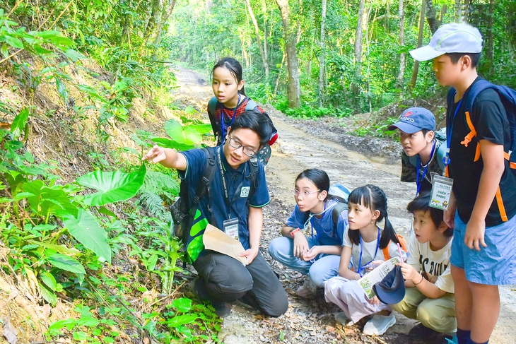 Làm thế nào cho con tuổi thơ hạnh phúc? - Kỳ 4: 'Thả' con vào rừng - Ảnh 1. vào rừng - Ảnh 1.
