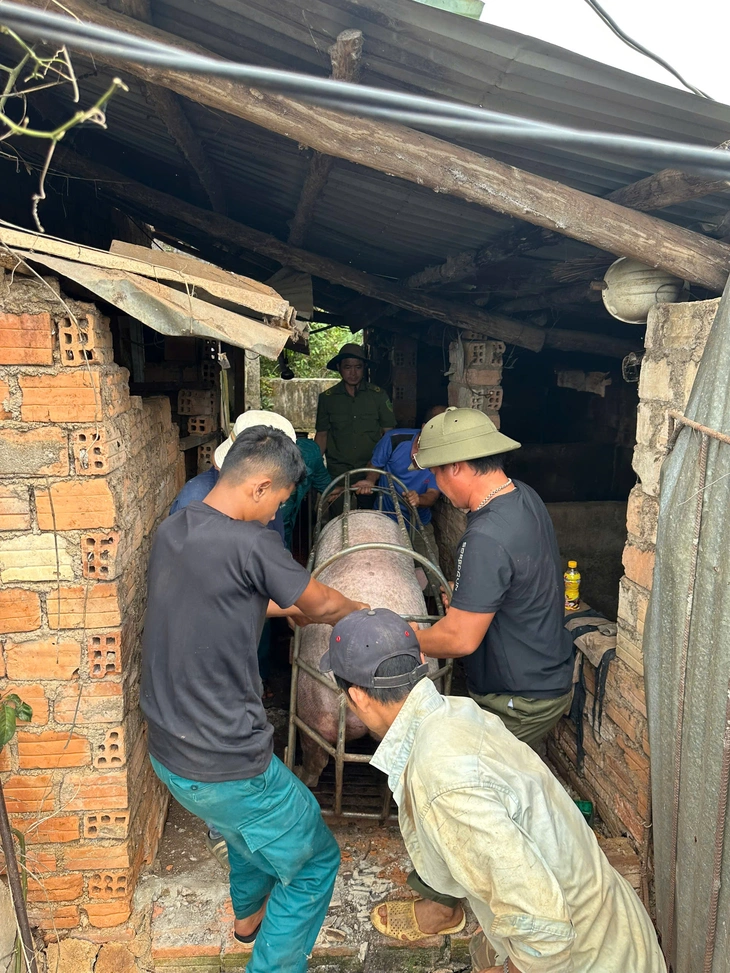 Tính toán dời dân khỏi khu vực sạt lở nghiêm trọng ở Gia Lai - Ảnh 4.