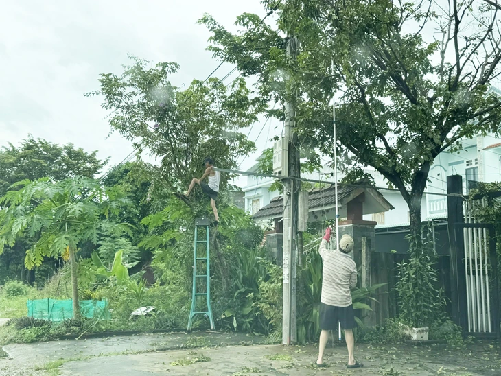 bão Thần Gió - Ảnh 2.