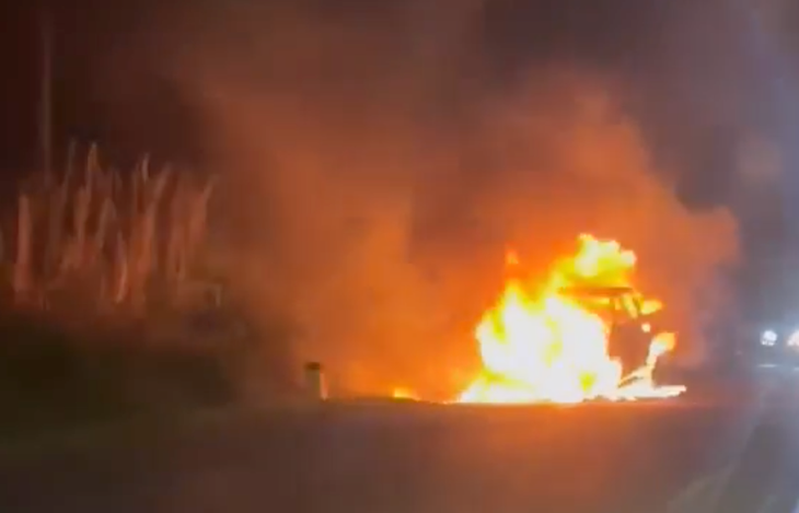 xe bán tải - Ảnh 1.