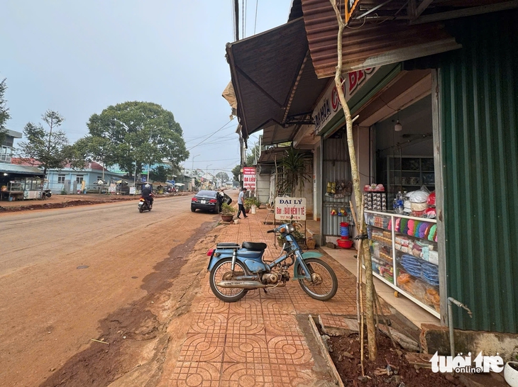Bạn đọc đề nghị rà soát lại quy hoạch trồng cây xanh sát nhà dân, tránh lãng phí- Ảnh 1. cây xanh - Ảnh 1.