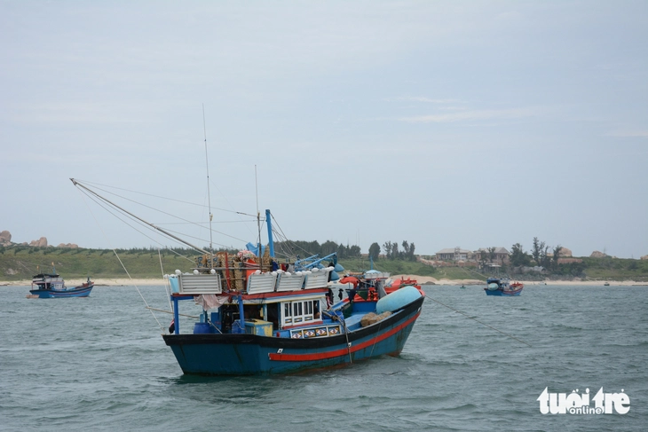 Hòn Cau - Ảnh 3.