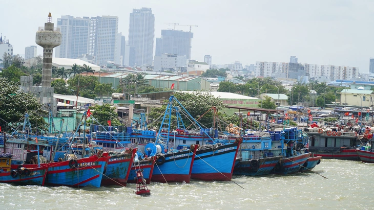 bão Thần Gió - Ảnh 3.