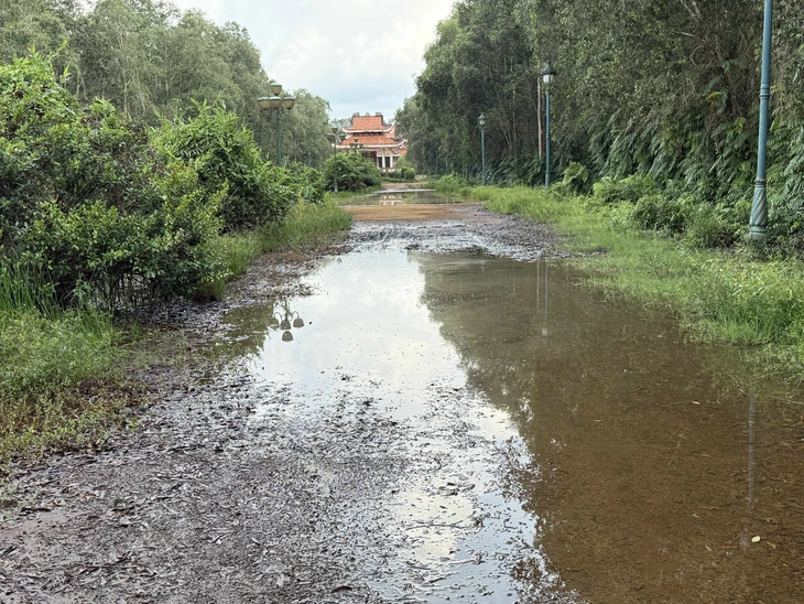 cần thơ - Ảnh 4.