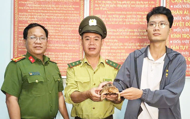 Rùa đất quý hiếm đi lạc, cô gái bàn giao để thả về tự nhiên - Ảnh 4.