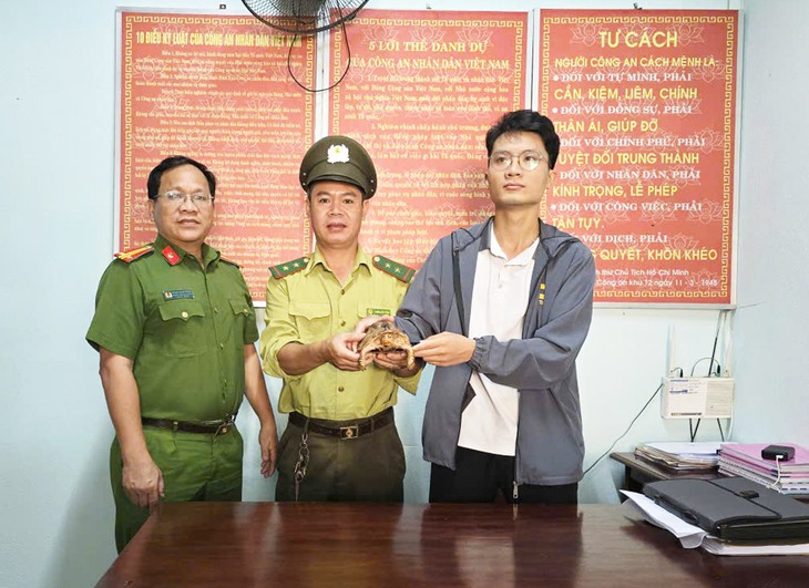 Thấy rùa cực quý ở gần khu trọ, người dân nộp cho công an - Ảnh 1.