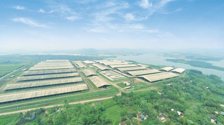 Anh hùng Lao động Thái Hương được trao giải doanh nhân xuất sắc ASEAN - Ảnh 4. TH - Ảnh 4.