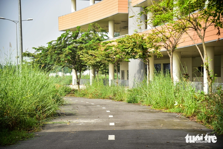 bệnh viện - Ảnh 10.