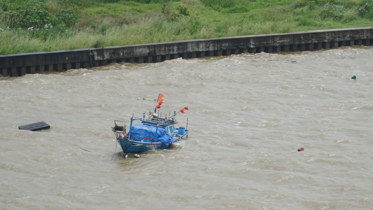 ngập - Ảnh 3.