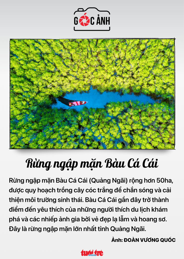 Luật báo chí - Ảnh 7.