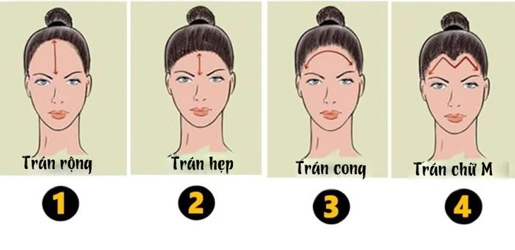quiz - Ảnh 1.